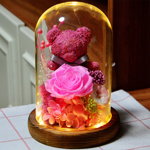 Rose éternelle <span class=keywords><strong>fleurs</strong></span> préservées <span class=keywords><strong>mousse</strong></span> ours fête des mères éternelle fleur préservée pour toujours Roses dans un dôme de verre - Product Image 6