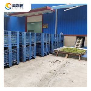 8T/H Extra Natives Olivenöl-Extraktionsmaschine mit 3-Phasen-Olivenöl-Dekanter-Zentrifuge - Product Image 2