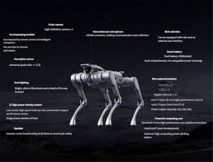Perro Robótico Unitree A2 de Alta Resistencia con Tecnología de IA y Parada de Emergencia para Monitoreo Industrial y Tareas de Campo - Product Image 3