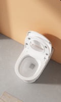 Siège de toilette intelligent compact pour petits espaces, allongé, à chasse automatique, double chasse, siège chauffant, télécommande