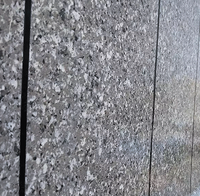 Peinture murale en pierre à effet d'eau dans l'eau en acrylique fournie par l'usine, texture naturelle colorée, revêtement et peinture extérieure en marbre