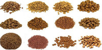 Ligne de production d'aliments pour animaux de compagnie XILANG à double vis extrudeuse, livraison d'usine de Jinan, machine de fabrication de granulés pour chiens, chats, poissons, poulets