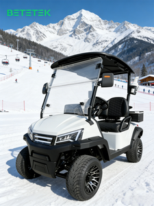 Carrito de Golf Eléctrico de 2 Plazas, Compacto y Confiable, para Uso en Campos de Golf, Resorts Costeros y Carreteras No Públicas - Product Image 1