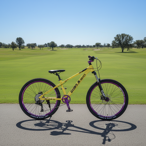 Vélo de vitesse de style européen VTT 26 24 pouces Bicicletas VTT 29 pouces VTT pour adulte - Product Image 1