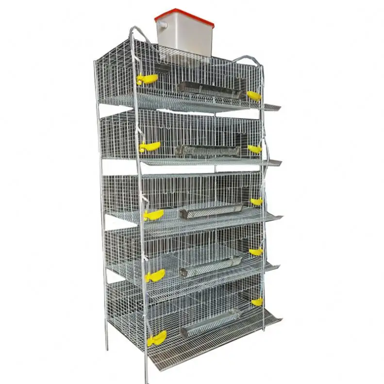 Design Commercial Broiler Chicken Cages Meat Automatic Poultry Feeding Farm Equipment H type Quail 5 Tier 200 Birds Laying Hens