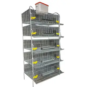 Progettare gabbie commerciali per polli carne attrezzatura automatica per l'alimentazione di pollame da fattoria tipo quaglia a 5 livelli 200 galline ovaiole
