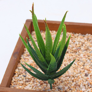 FZZW0032 Prix de gros avantageux pour les arrangements de plantes succulentes artificielles les plus récentes, faux <span class=keywords><strong>mini</strong></span>-cactus succulentes en plastique en gros - Product Image 6