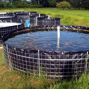 Revêtement de réservoir de crevettes de ferme Biofloc de crevettes de ferme de poissons 10000 litre 1mm d'épaisseur
