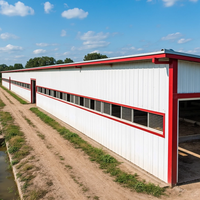 Ruixing – Bâtiments préfabriqués modernes à structure en acier pour fermes avicoles et bovines, hangars, ateliers, résistance au vent élevée