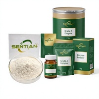Poudre d'enzyme cellulase de qualité alimentaire CAS 9012-54-8 haute activité pour le textile, la boulangerie et l'extraction de jus