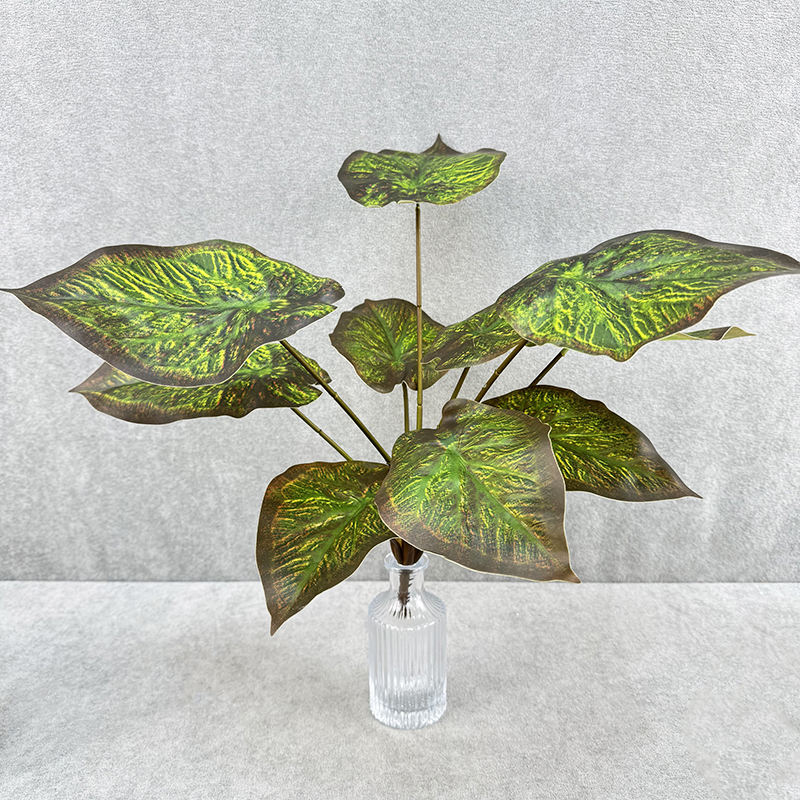 กาแฟกรีน