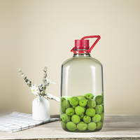 Bouteilles de fermentation de vin en verre épaissi de qualité alimentaire, 5L et 10L, personnalisables avec gravure et décalcomanie, couleur sur mesure, pour usage domestique – Meilleures ventes