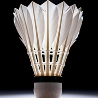 Plume de badminton BOYA B-01 Shuttle Goose, plume droite en plumes d'oie naturelles, liège naturel, stable, durable, vol professionnel, légère.