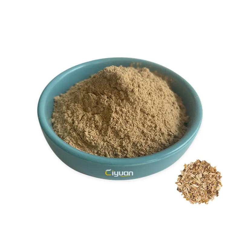 Ciyuan fabbrica GMP naturale di alta qualità a basso prezzo CAS 138-52-3 Salix Alba rami di albero estratto di corteccia di salice bianco