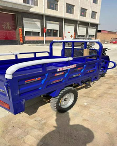 Triciclo de 200cc Más Vendido, Carro de Tres Ruedas con Carrocería Abierta/Cerrada para 2 Pasajeros - Product Image 5