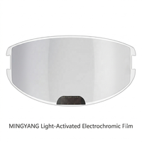 Película Antivaho Fotoluminiscente Electrocrómica Inteligente para Casco de Motocicleta, Resistente a la Lluvia, Venta al Por Mayor para Ciclismo