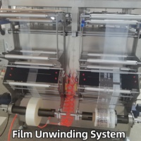 Machine de remplissage et d'emballage double indépendante personnalisée, emballage simultané de poudre et de liquide sur deux voies, usage intensif