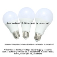 Ampoule LED à lumière chaude 3000K E27 12V24V36V Haute luminosité Basse pression CRI 80-90 110 Lm/W Éclairage pour bateaux de pêche et machines