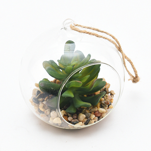 Appeso Globi di Vetro Terrario Sfere di Vetro Fioriera Grande Apertura di Aria Fern <span class=keywords><strong>Piante</strong></span> <span class=keywords><strong>Vaso</strong></span> di Fiori Artificiali di <span class=keywords><strong>piante</strong></span> <span class=keywords><strong>grasse</strong></span> - Product Image 3