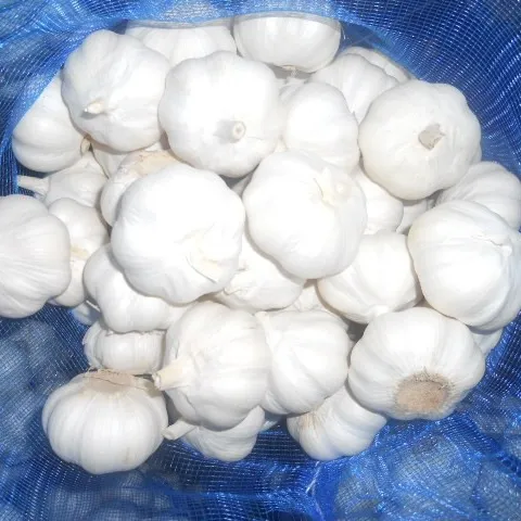 Garlic price/fresh garlic white natural ajo supplier in China