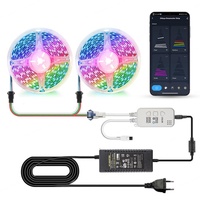 Controlador de Tira LED Inteligente Tuya WS2811 WiFi 12V 1 Canal Direccionable Individualmente 1903 RGBIC con Control por Voz, IR, Música y Aplicación