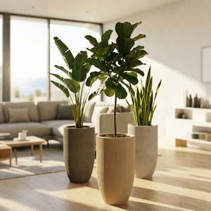 กระถางต้นไม้คอนกรีตทรงสูงลายทางแนวตั้ง รักษ์โลก ขนาดใหญ่ สไตล์โมเดิร์นหรูหรา <span class=keywords><strong>สี</strong></span>ตามสั่ง พร้อมโลโก้ สำหรับปลูกต้นงู ต้นคาลาเทีย โอร์บิโฟเลีย - Product Image 4