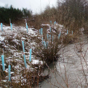 Venta al por mayor GF 2mm PP Tree Guard Tubos redondos Vid Protección de plantas Manga de plástico corrugado Suministros agrícolas - Product Image 2