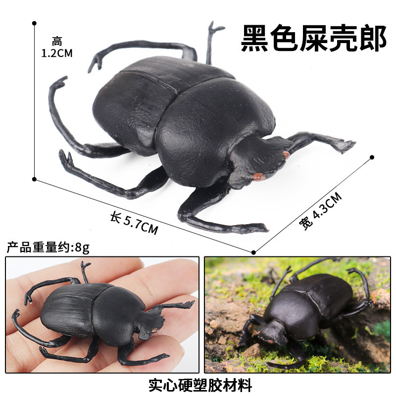 ด้วงมูลสีสันสดใส M-2922 สีดำ