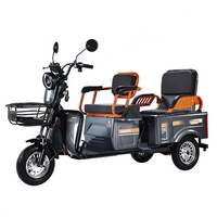 Vente directe d'usine, nouveaux tricycles électriques élégants et personnalisables à 3 roues, tricycle électrique en acier pour familles et passagers
