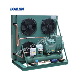 Germany air cooled bitzer compressor refrigeration condensing unit 2GES-2 2GES-2Y 2GES-2Y-40S 2GC-2.2 2GC-2.2Y-40S 2HP