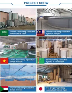 Aquakultur ausrüstung zum Verkauf, Shrimp Hatchery Indoor Fischteich, Tilapia Farming <span class=keywords><strong>Betta</strong></span> Sturgeon Farm Farm <span class=keywords><strong>Fish</strong></span> - Product Image 6