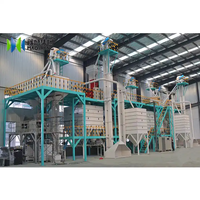 Usine complète de nettoyage du blé, machines de traitement des graines de sésame à impulsions 10T, machines de traitement des graines de maïs pour la reproduction des semences