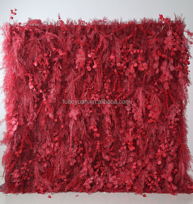 Mur d'herbe de la pampa rouge 2 #