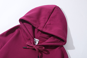 Gahumi Factory 13 Colors Heavy 600g Sweat à capuche en coton Logo personnalisé Imprimé Hoodies Unisex Automne Hiver Manteau Hoodies - Product Image 5