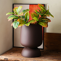 Ensemble de pots à plantes sur piédestal en forme de gobelet, crème, chocolat, noir, pour une décoration moderne et rustique de la maison