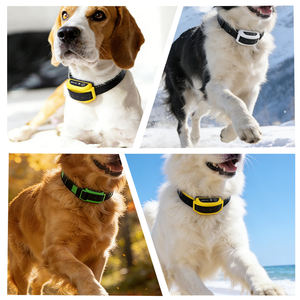 Système de collier de dressage <span class=keywords><strong>pour</strong></span> chien sans fil électrique extérieur, écologique, en plastique, grand enclos <span class=keywords><strong>pour</strong></span> animaux de compagnie avec vibrations, choc et bip - Product Image 6