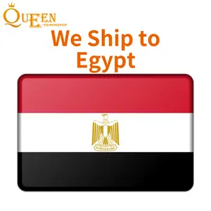 شحن البضائع مصر مصر DDU الصين إلى مصر اكسبريس والتسليم إلى خدمة المطار