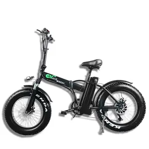Electric Bicycle 500 Watt One Wheel Strong Bicycle Electric Battery bike For Adults