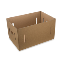 Emballage d'expédition boîtes d'emballage en carton ondulé boîte à fruits biodégradable pour vert élégant