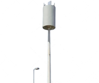 Nouveau fabricant, tour monopode de lampe de télécommunication galvanisée résistante au vent et Durable