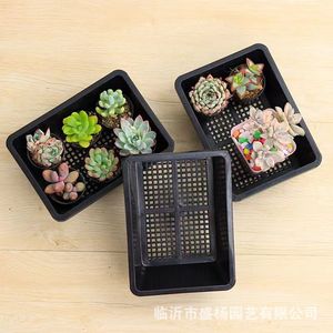Bac de propagation pour la coupe de feuilles, rectangulaire, en plastique, avec trous de drainage, pour la plantation de plantes succulentes, usage en pépinière - Product Image 2