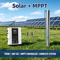 Kit de pompe submersible solaire pour puits profond 1HP 750W DC 48V 3 pouces en acier inoxydable 304 avec contrôleur MPPT 16A et connecteurs MC4 pour l'irrigation agricole