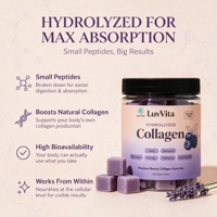Complément de beauté en gommes de collagène hydrolysé sans sucre, marque distributeur, pour l'éclat de la peau, le confort articulaire et le soutien immunitaire, 60 unités