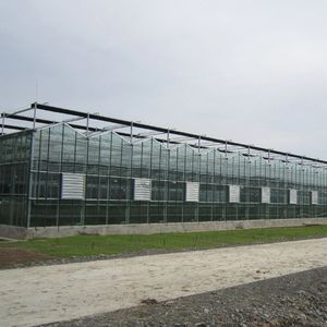 2025 coût d'usine <span class=keywords><strong>Serre</strong></span> commerciale Venlo 9.6m Span Glass Green house Garden Used for Sale - Product Image 5