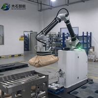 Robot Palettiseur AMR pour Cartons, Boissons, Aliments, Cigarettes, Film – Haute Productivité, Économie d'Énergie, Électrique