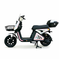Vélo électrique urbain à deux places en acier avec moteur arrière sans balais, frein à disque, batterie au plomb-acide électronique et écran LCD numérique