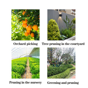 Sécateur télescopique électrique sans fil de 6 pouces, sécateur d'arbres à perche, lame en acier inoxydable, capacité de coupe de 0 à 30 mm, pour droitiers - Product Image 2