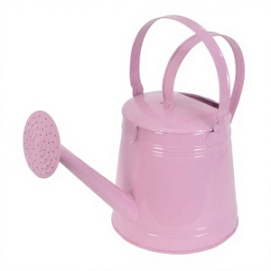 Venta en línea Hoja de herramientas de jardín Regadera de hierro con asas dobles Abuela favorita Plantas de interior Regadera - Product Image 1