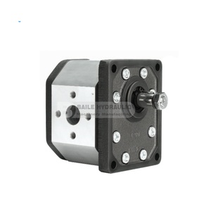 Bomba de Engranajes Serie GHP de POMPE, Modelos GHP3, GHP3A, GHP3A2, GHP3BK1, GHP35, GHP3-D-30, GHP3-D-135, GHP35-D-66, GHP35-D-135 - Product Image 2