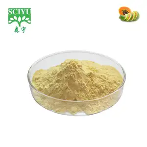 Top Quality Pure 100% Natural Papaya Powder Papaya Fruit Powder Papaya Juice Powder